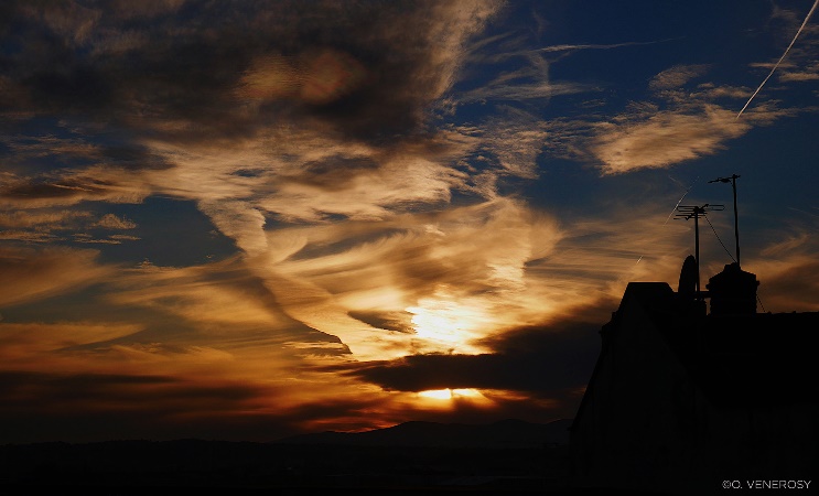 De l'autre c?t�� des reflets ? O.Venerosy